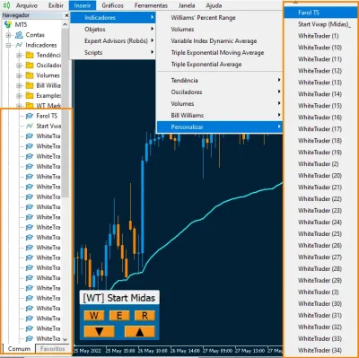 Um monte de indicadores da White Trader